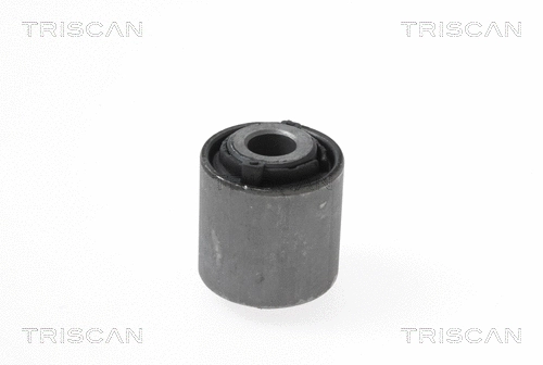 Mounting, control/trailing arm (8500 17823)