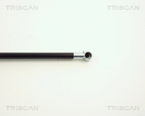 Gas Spring, boot/cargo area