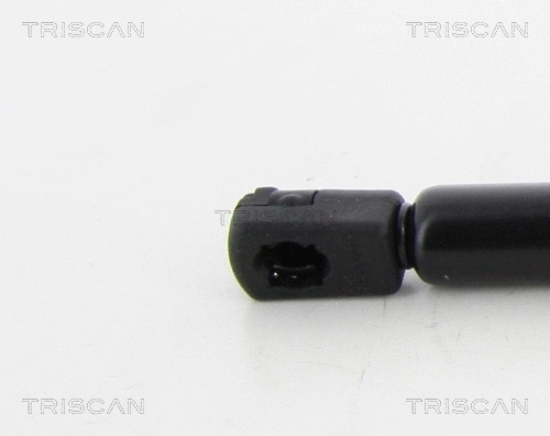 Gas Spring, boot/cargo area