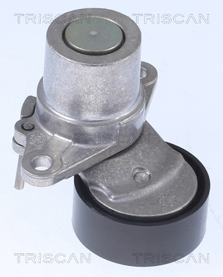 Belt Tensioner, V-ribbed belt (8641 293056)