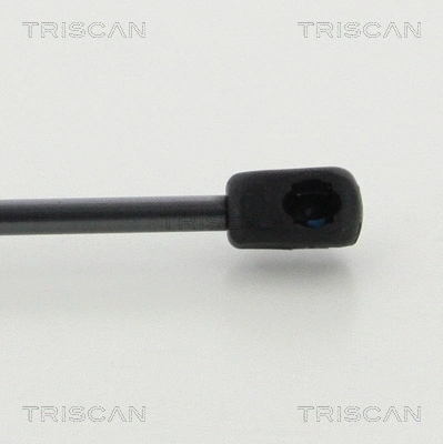 Gas Spring, boot/cargo area