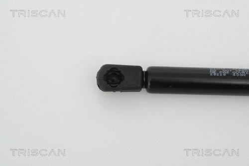 Gas Spring, rear window