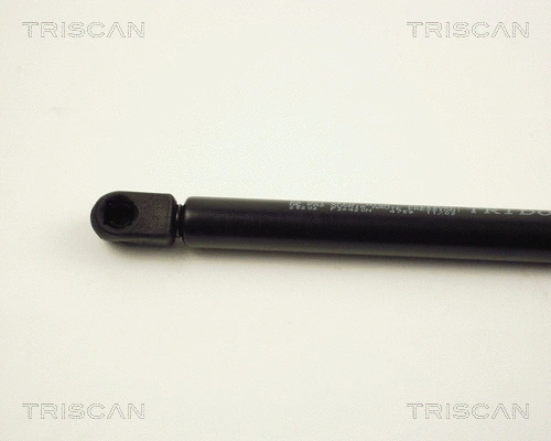 Gas Spring, boot/cargo area