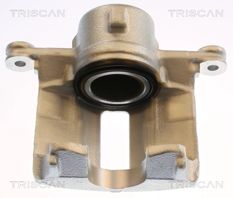 Brake Caliper (8175 14119)