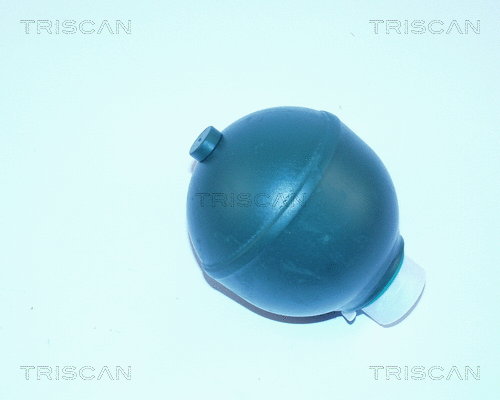 Pressure Accumulator, pneumatic suspension (8760 38113)
