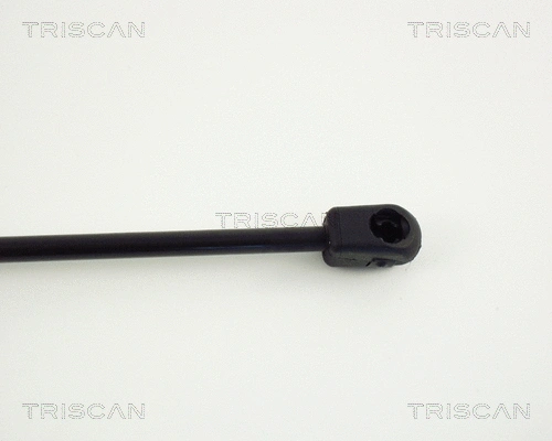 Gas Spring, boot/cargo area