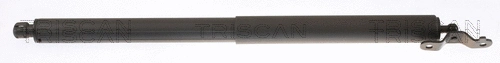 Gas Spring, boot/cargo area (8710 23308)