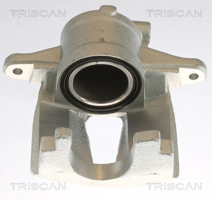 Brake Caliper (8175 10110)