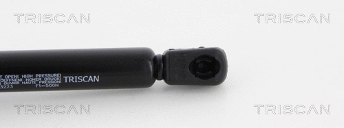 Gas Spring, boot/cargo area