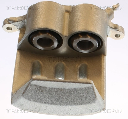 Brake Caliper (8175 13123)