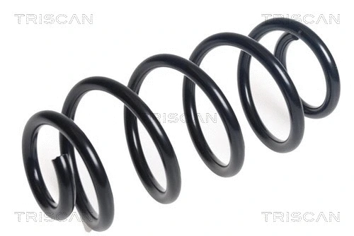 Suspension Spring (8750 23231)