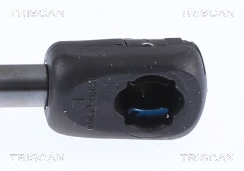 Gas Spring, boot/cargo area