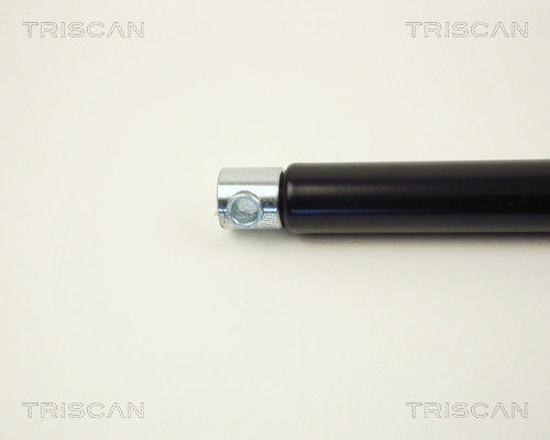 Gas Spring, boot/cargo area