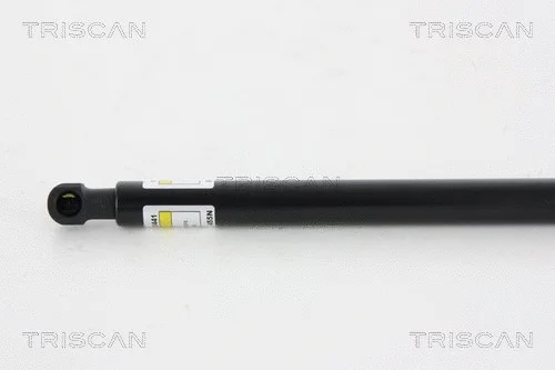 Gas Spring, boot/cargo area
