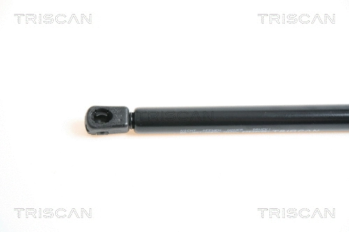 Gas Spring, boot/cargo area