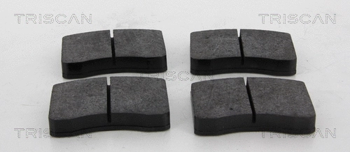 Brake Pad Set, disc brake (8110 23067)