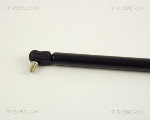 Gas Spring, boot/cargo area