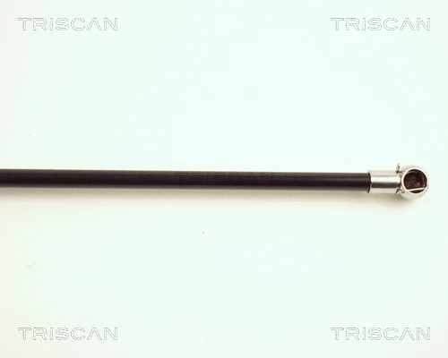 Gas Spring, boot/cargo area