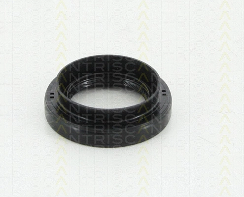Shaft Seal, differential