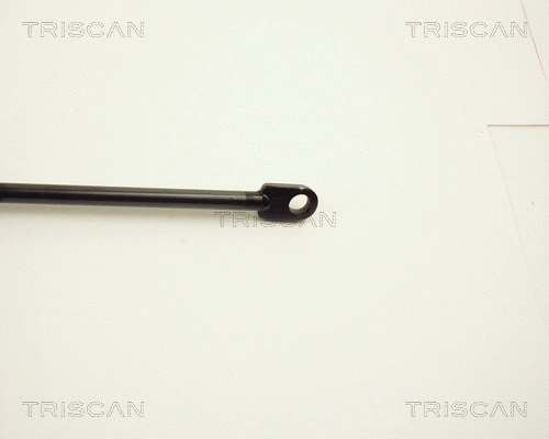 Gas Spring, boot/cargo area