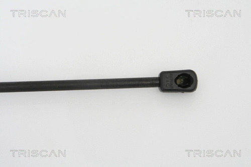 Gas Spring, boot/cargo area