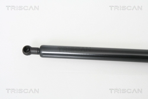 Gas Spring, boot/cargo area