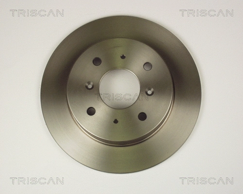Brake Disc (8120 17110)