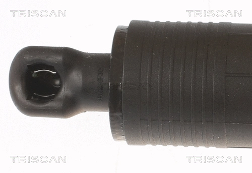 Gas Spring, boot/cargo area