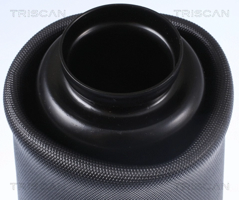Air Spring, suspension