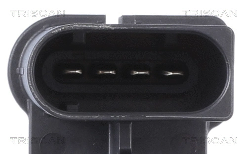 Control Element, parking brake caliper