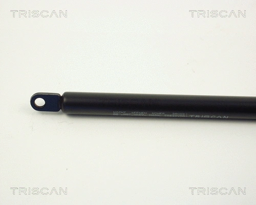 Gas Spring, boot/cargo area