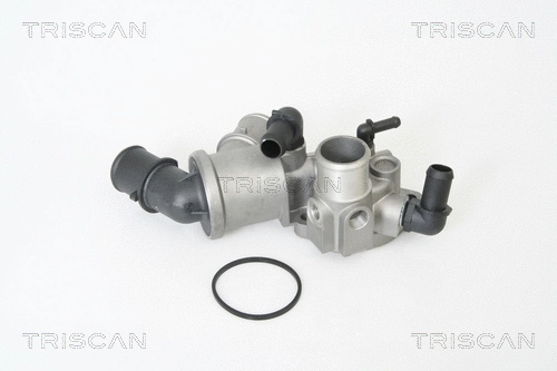 Thermostat, coolant (8620 16975)