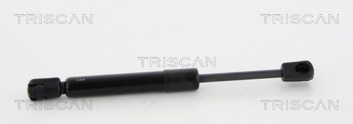 Gas Spring, boot/cargo area (8710 50250)