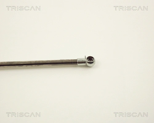 Gas Spring, boot/cargo area
