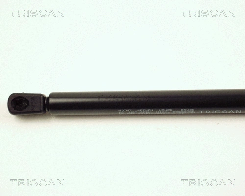 Gas Spring, boot/cargo area