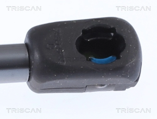 Gas Spring, boot/cargo area