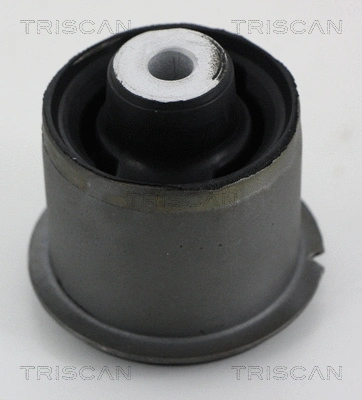 Bushing, axle beam (8500 43836)