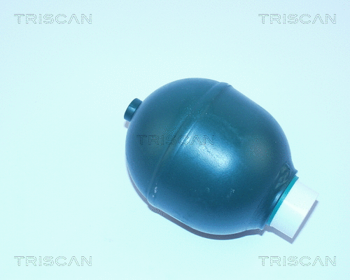 Pressure Accumulator, pneumatic suspension (8760 38212)