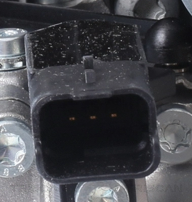 EGR Valve