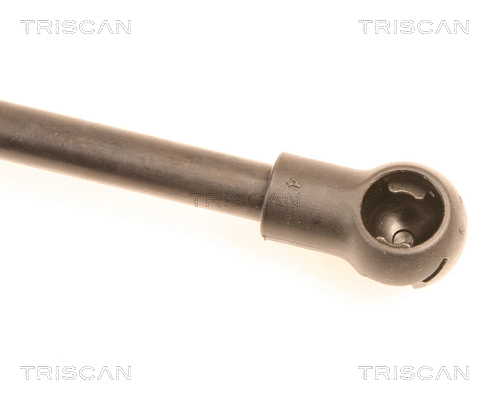 Gas Spring, boot/cargo area