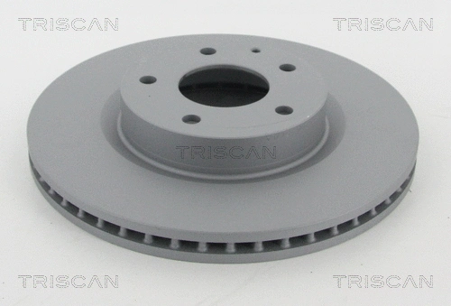 Brake Disc (8120 50179C)
