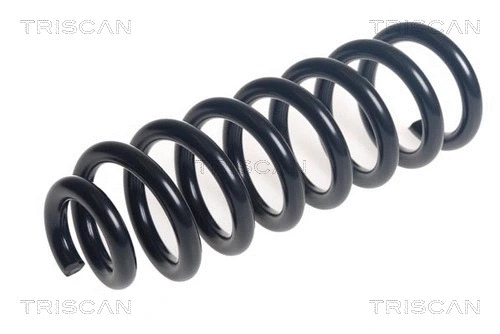 Suspension Spring (8750 23217)