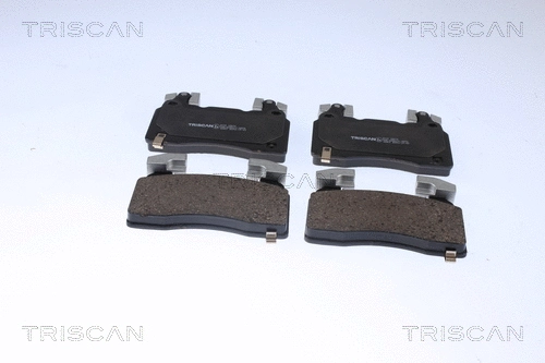 Brake Pad Set, disc brake (8110 10874)