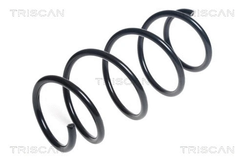 Suspension Spring (8750 13220)