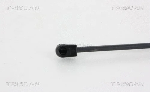 Gas Spring, boot/cargo area