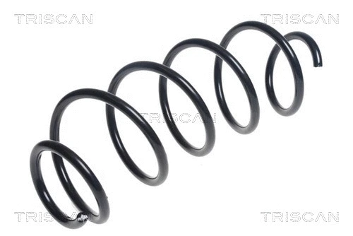 Suspension Spring (8750 28266)