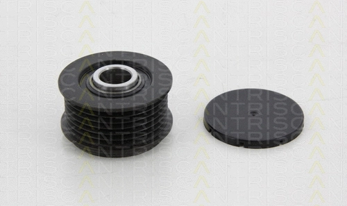 Alternator Freewheel Clutch (8641 164012)