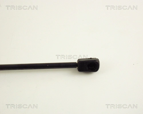 Gas Spring, boot/cargo area