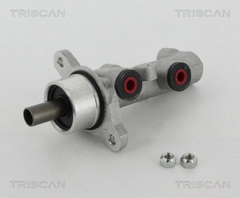 Brake Master Cylinder (8130 24162)