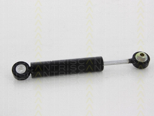 Vibration Damper, V-ribbed belt (8641 293045)